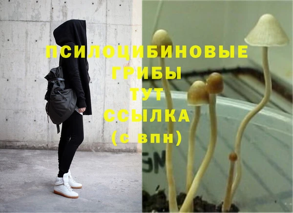 дмт Алзамай